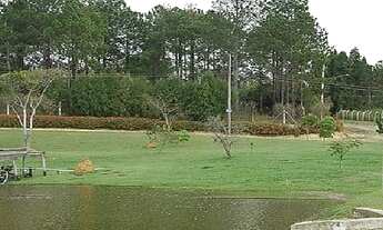 Imagem 7: Porto Feliz - Terreno para chácara 2500m2 em condomínio