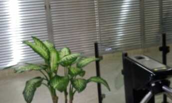 Imagem 4: Sala Comercial para Venda em Liberdade São Paulo-SP - 224