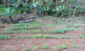 Imagem: Sítio 6 alqueires ( Willian Ricardo