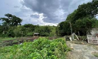 Imagem 6: Fazenda para venda com 1.206.720 M2 - 49 Alqueires - Ideal para criação de gado, há bastan