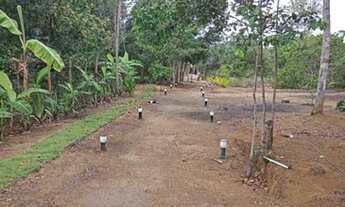 Imagem 5: Lotes de 800m2 estrada da Pitinga