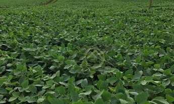 Imagem 6: Fazenda à venda, 2420000 m² por R$ 18.000.000,00 - Centro - Pitanga/PR