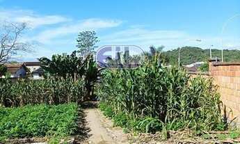 Imagem 7: Terreno quitado Bairro Paranaguamirim Joinville