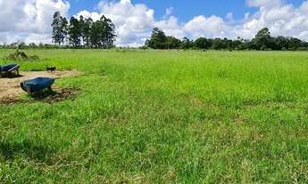 Imagem 6: Beira do asfalto rodeador chácara 100%plana 20.000m2 com casa falta acabamento
