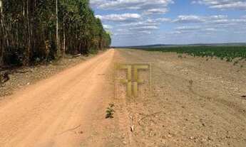 Imagem 2: Fazenda 5.570 Hectares, Balsas, MA