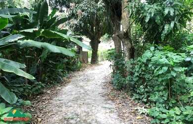 Imagem 3: Terreno com 1.6 ha