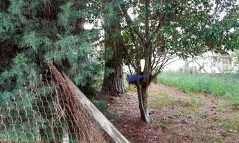 Imagem 7: Sítio com 3 dormitórios à venda, 13000 m² por R$ 1.100.000,00 - Itapevi - Itapevi/SP