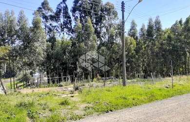 Imagem 6: BENTO GONçALVES - Terreno Padrão - Caminho da Eulália