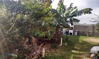 Imagem 4: FLORIANÓPOLIS - Casa Padrão - CAMPECHE