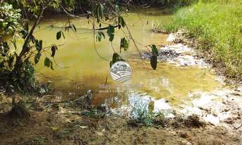 Imagem 4: Vale do Anari - Sítio - 15 Alqueires