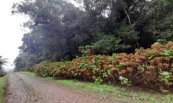 Imagem 3: Terreno no Alpes de São Francisco, em São Francisco de Paula!