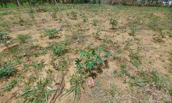 Imagem 2: Chácara a venda em Cocalzinho Condomínio Na beira do corrego Parque das Águas