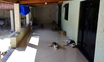 Imagem 4: Chácara com 3 dormitórios à venda, 2200 m² por R$ 900.000,00 - Grama - Juiz de Fora/MG