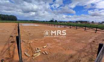 Imagem 6: Terreno Rural para chácara à venda, 1000 m² em Canelinha/SC