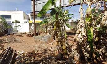 Imagem 3: GOIâNIA - Terreno Padrão - Jardim América