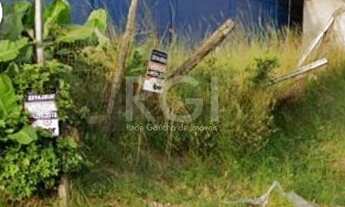 Imagem 4: Porto Alegre - Terreno Padrão - Passos das Pedras