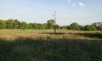 Imagem 7: Fazenda próximo à Santa Rita do tocantins