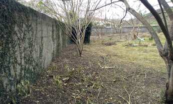 Imagem 4: TERRENO RESIDENCIAL em Pinheiral - RJ, Estrada das palmeiras