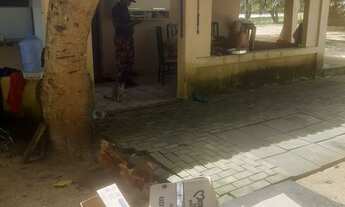 Imagem 6: Excelente sitio com toda estrutura próximo de Mataraca