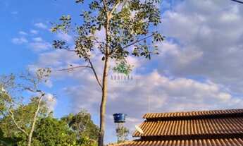 Imagem: Pirenopolis - Chácara - Pirenópolis