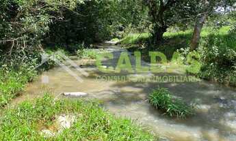 Imagem 4: Fazenda/Sítio/Chácara para venda com 1,2 alqueire Goiás