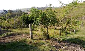 Imagem 5: Sítio para venda em Porangaba com 31.600 m2, com casa e 01 pequeno tanque