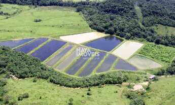 Imagem: Fazenda à venda, Área Rural de Curitiba