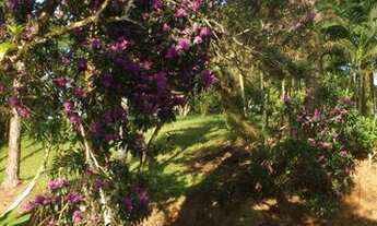 Imagem 6: Sítio com Renda garantida em Guaviruva - Registro - SP