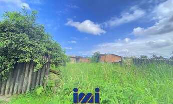 Imagem 3: Terreno murado bom preço em Ipanema p/ investidor