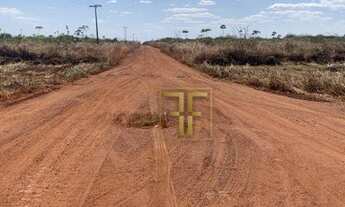 Imagem 4: Fazenda 5.570 Hectares, Balsas, MA