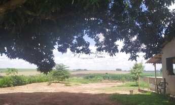 Imagem 2: VENDA Chácara com venda por R$1.000.000