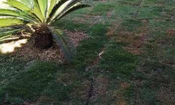 Imagem 2: Fazenda/Sítio/Chácara para venda possui 350 metros quadrados com 3 quartos