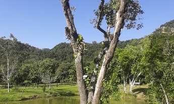 Imagem 2: Vendi sitio na montanha Nova Veneza SC