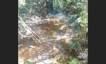 Imagem 5: Fazenda/Sítio/Chácara para venda possui 5000 metros quadrados com 1 quarto