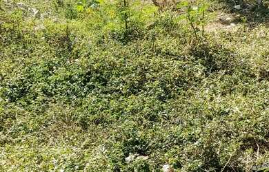 Imagem 7: Terreno de esquina no Campo Limpo