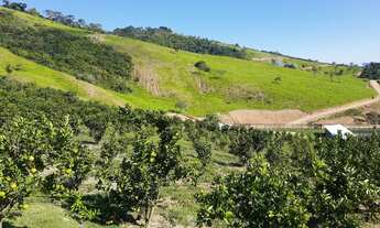 Imagem: Granjeamento em Belmiro Braga a menos 30