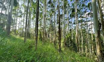 Imagem: Divisa Timbó - Pomerode