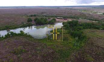 Imagem 2: Fazenda 700 Alqueires, Ulianópolis, PA