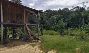 Imagem 4: Fazenda com 3000 hectares em Presidente Figueiredo/AM, a 185 km de Manaus. A 14 km da BR