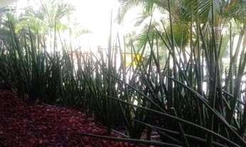 Imagem 4: Cobertura com 2 dormitórios à venda, 176 m² por R$ 890.000,00 - Pituba - Salvador/BA