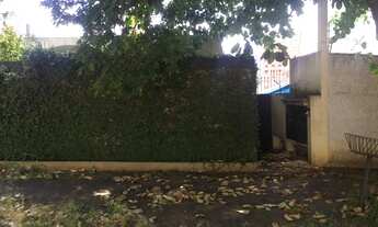 Imagem 6: Casa - Nova Campinas - Campinas