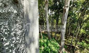 Imagem 7: TERRENO - LAGOA DA CONCEIÇÃO