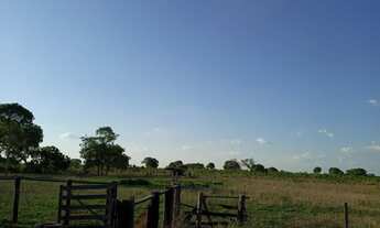 Imagem 3: Fazenda próximo à Santa Rita do tocantins