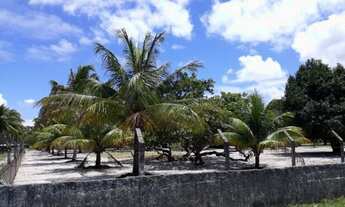 Imagem 2: Uma excelente granja totalmente plana e murada