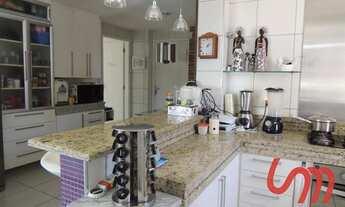 Imagem 7: TERLIZZY - DIONÍSIO TORRES