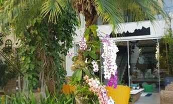 Imagem 6: Excelente Residencia 4 suítes salões, piscina fino acabamento - Recreio