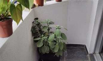 Imagem 4: Apartamento no Jardim América com 3 dormitórios, suíte