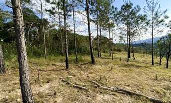 Imagem 3: More no interior