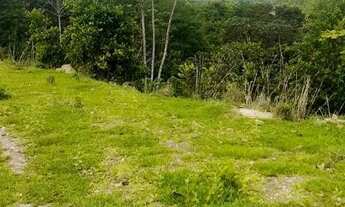 Imagem 4: Fazenda 238 alqueires Municio de Itapuranga GO