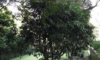 Imagem 7: Terreno à venda, 1716 m² por R$ 850.000,00 - Ressaca - Ibiúna/SP